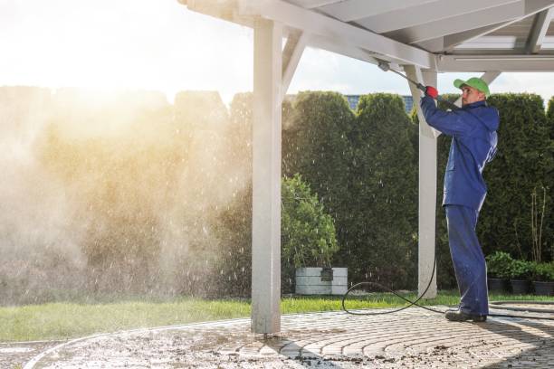 Best Building Exterior Pressure Washing in Alice, TX