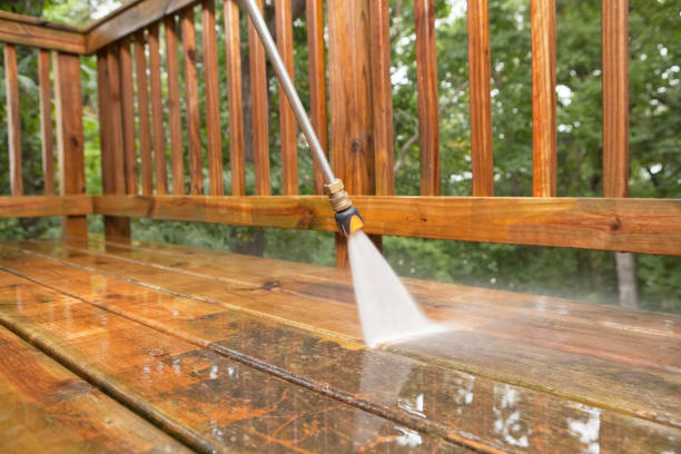 Best Fence Cleaning and Maintenance in Alice, TX